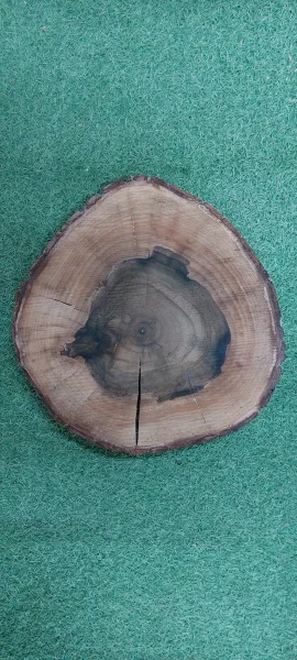  Спил грецкого ореха 