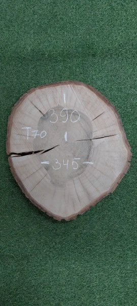 Спил грецкого ореха