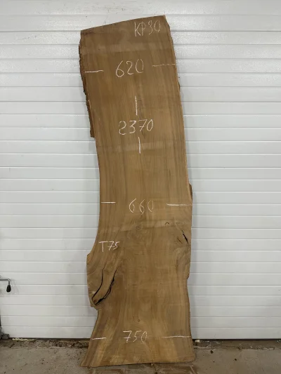 Слэб карагач