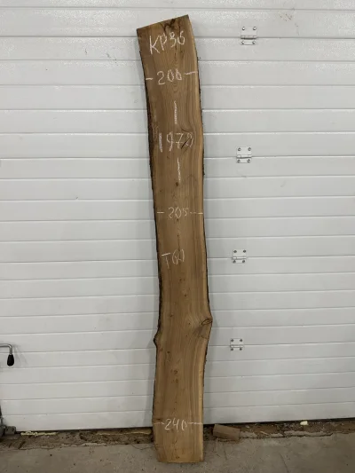 Слэб карагач