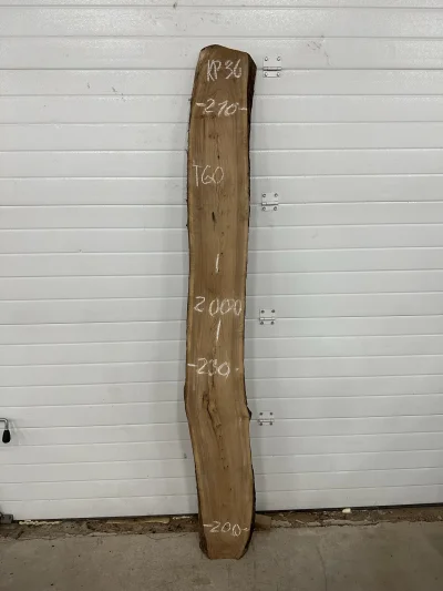 Слэб карагач