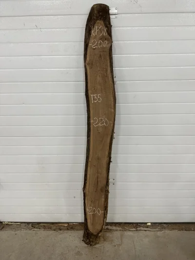 Слэб карагач