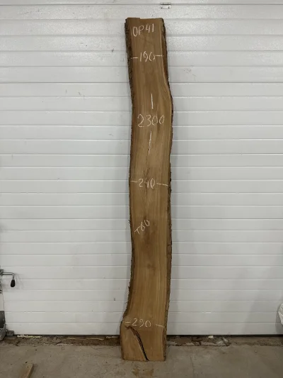 Слэб карагач