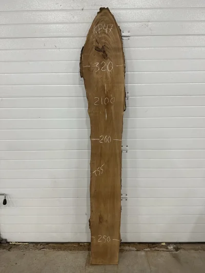 Слэб карагач