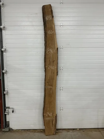 Слэб карагач