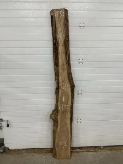 Слэб карагач