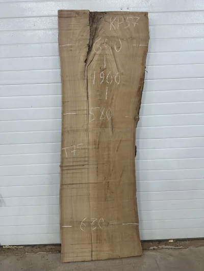 Слэб карагач