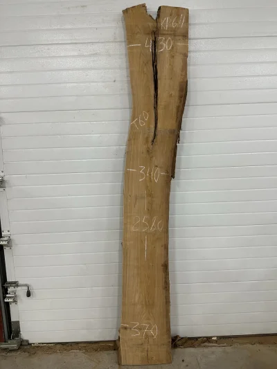 Слэб карагач