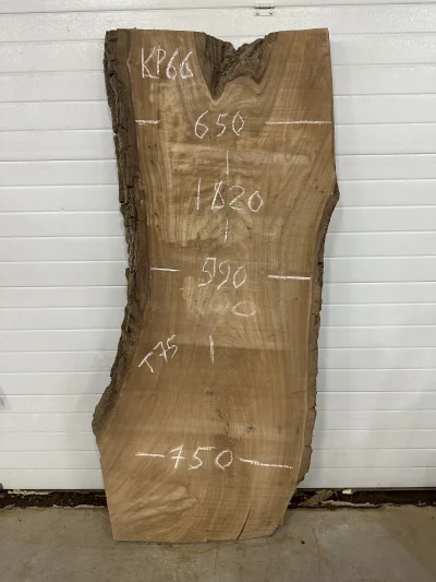 Слэб карагач