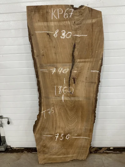 Слэб карагач