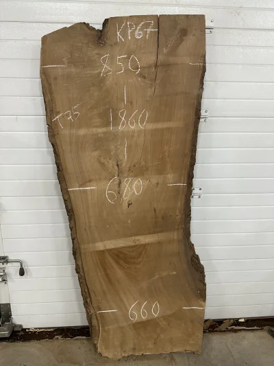 Слэб карагач