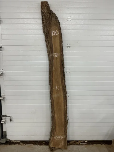 Слэб карагач