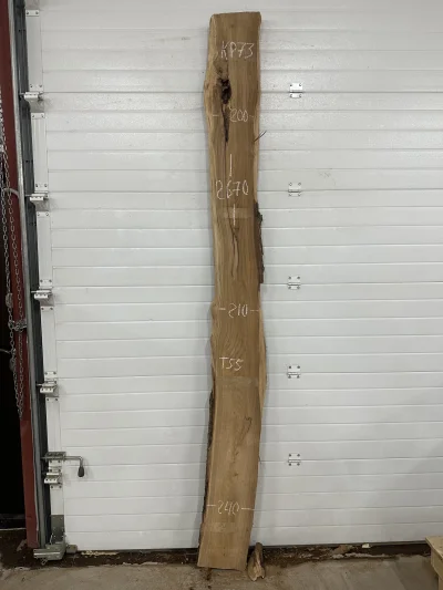 Слэб карагач