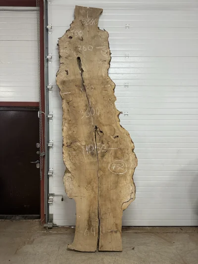 Слэб карагач