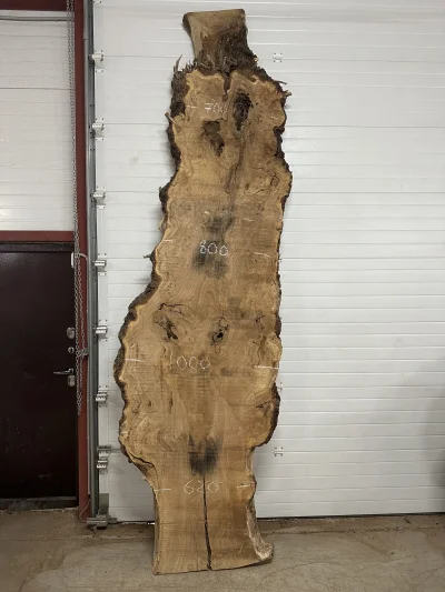 Слэб карагач