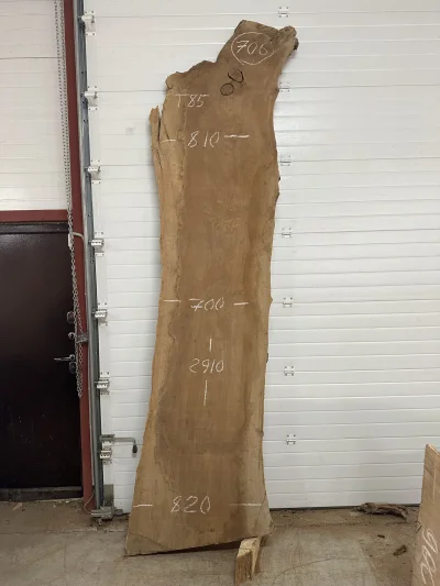 Слэб карагач