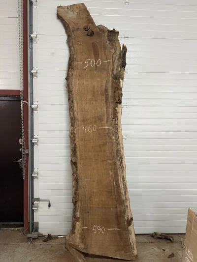 Слэб карагач