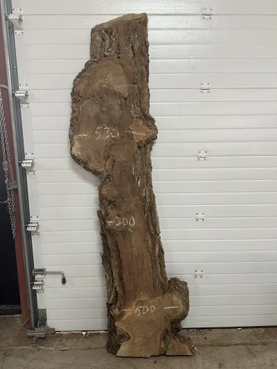 Слэб карагач