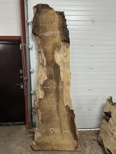 Слэб карагач