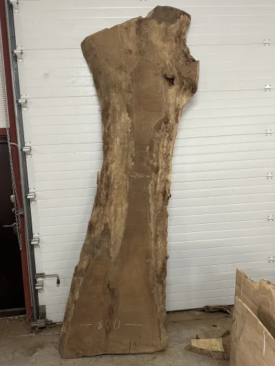 Слэб карагач