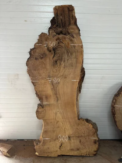 Слэб карагач