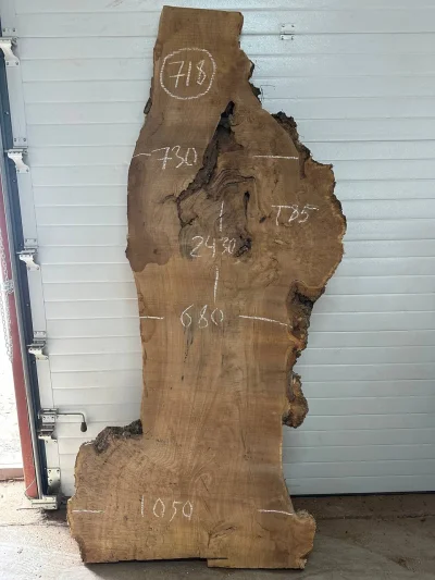 Слэб карагач