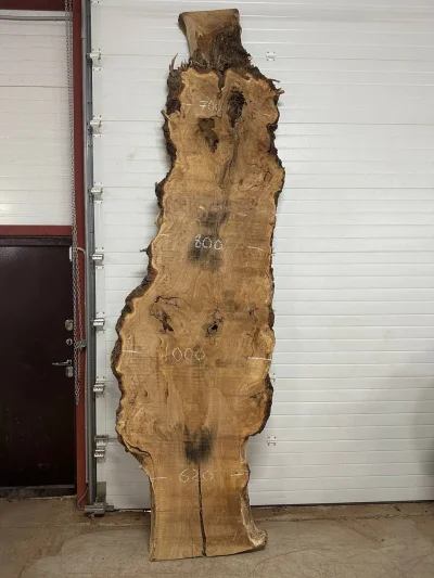 Слэб карагач