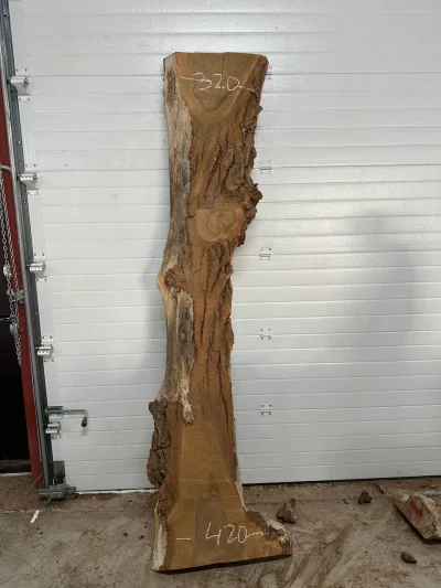 Слэб карагач