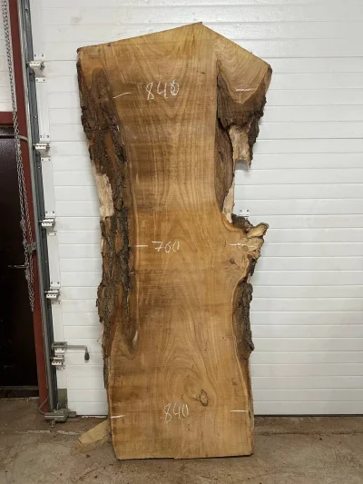 Слэб карагач