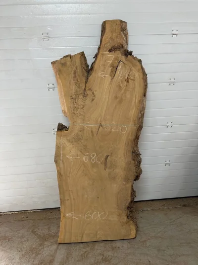 Слэб карагач