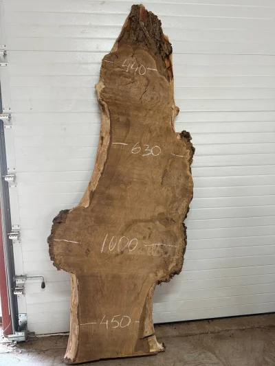 Слэб карагач