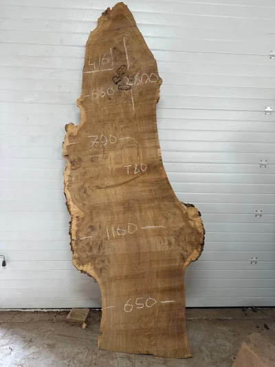 Слэб карагач