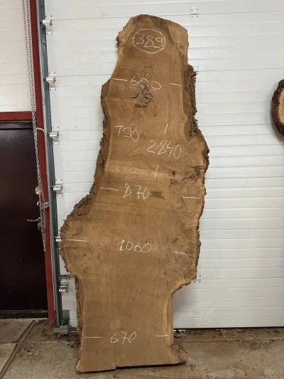 Слэб карагач