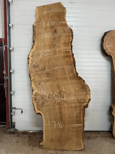 Слэб карагач