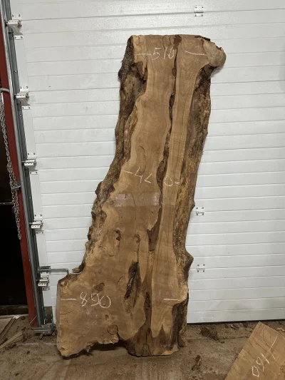 Слэб карагач