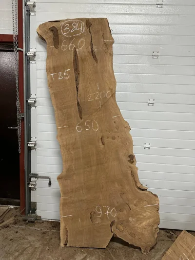 Слэб карагач