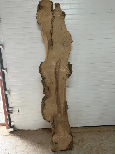 Слэб карагач