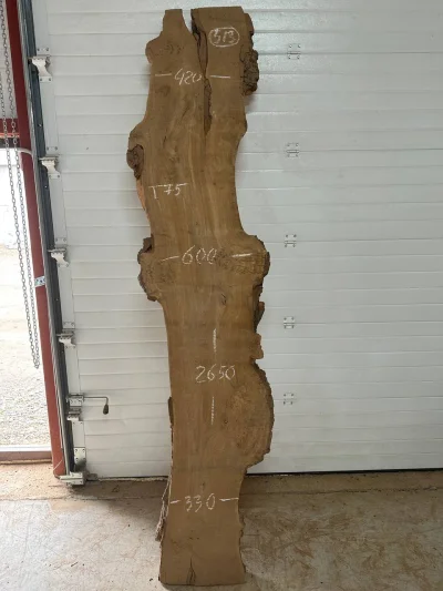 Слэб карагач