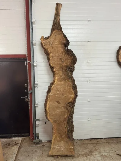 Слэб карагач