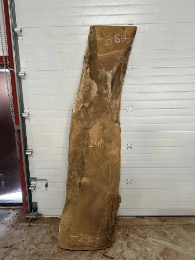 Слэб карагач