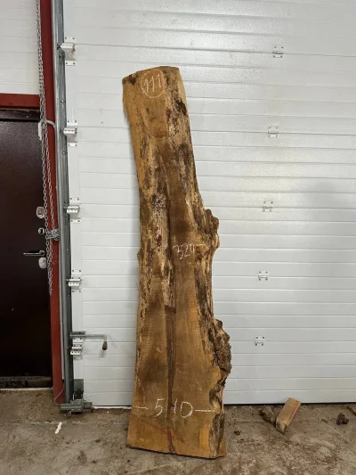 Слэб карагач