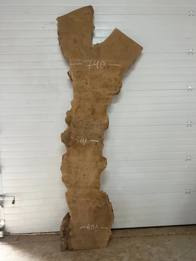 Слэб карагач