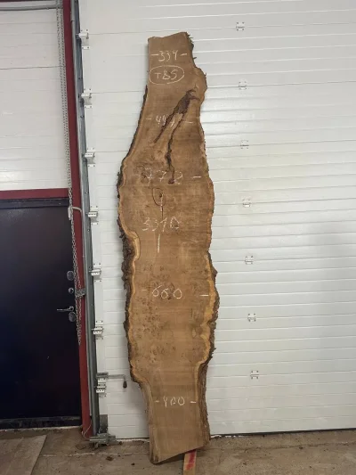 Слэб карагач