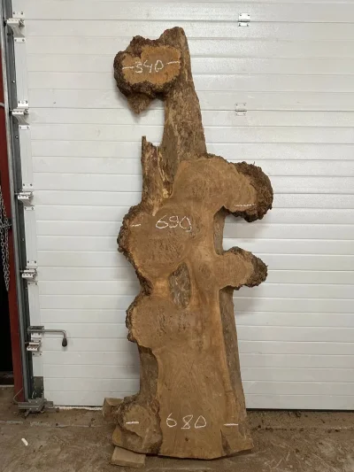 Слэб карагач