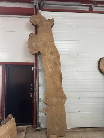 Слэб карагач