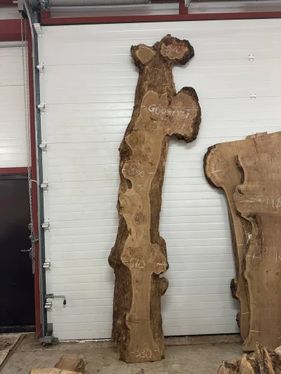 Слэб карагач