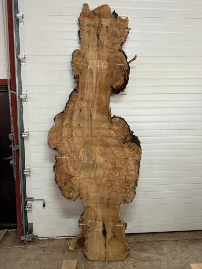 Слэб карагач