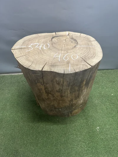 Пень карагач 