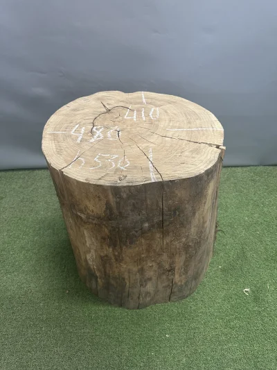 Пень карагач 