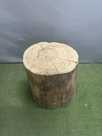 Пень карагач 